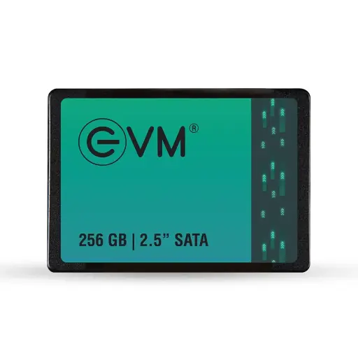  SSD 256GB EVM SATA